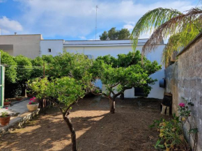 Casa Vacanze Nonna Maria Carpignano Salentino